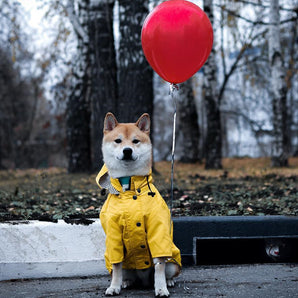 Dog Raincoat with Buttons Pet Windbreaker for Small Medium Large Dogs