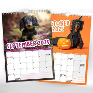 Cheeky Dachshunds - 2025 Wall Calendar🐶🗓️