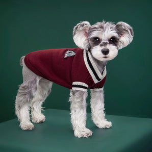 College Style Pet Dog Sweater Winter Warm Dog Vest for Small Medium Dogs Puppy Cat