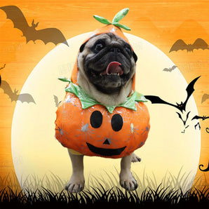 Halloween Cosplay Pumpkin Costume For Dogs With Hat Funny Clothes