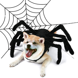 Halloween Funny Spider Costume Cat Dog Clothes Cosplay Pet Accessories