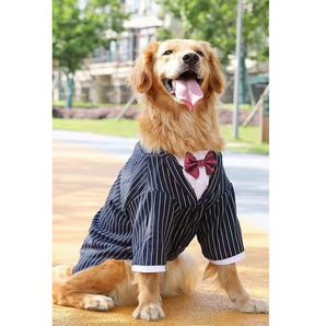 Stripe Tuxedo Dog Suit Wedding Dress for Medium Big Dogs