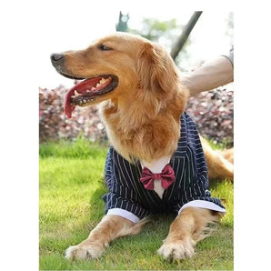 Stripe Tuxedo Dog Suit Wedding Dress for Medium Big Dogs