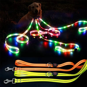 Pet Dog LED Light UP Collar Leash USB Rechargeable Collar Glowing for Pet Safe Night Walking