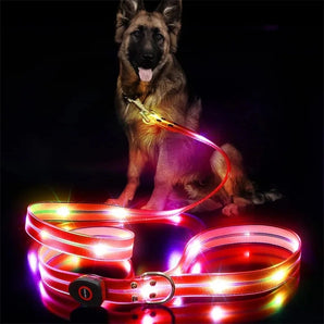 Pet Dog LED Light UP Collar Leash USB Rechargeable Collar Glowing for Pet Safe Night Walking